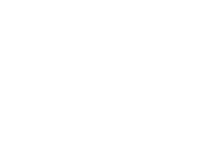 bosch.png
